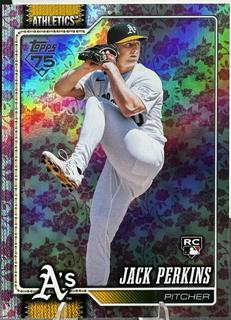 Jack Perkins