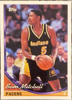 Sam Mitchell