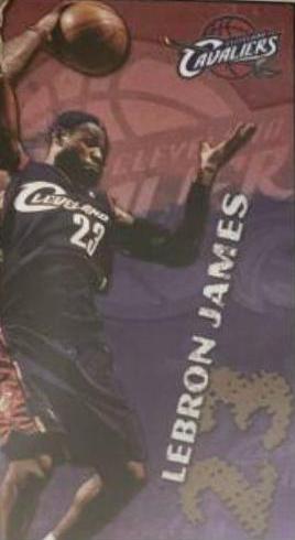 LeBron James Basketball Cards 2009 Panini Stickers