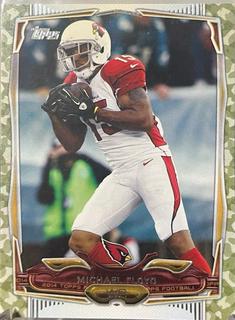 Michael Floyd