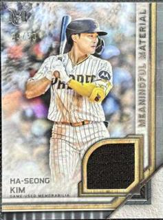 Ha Seong Kim