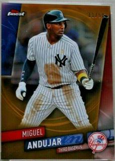 Miguel Andujar