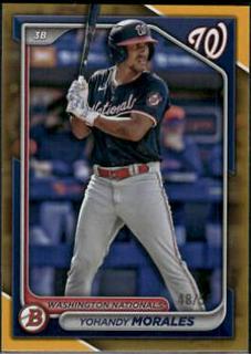 Yohandy Morales