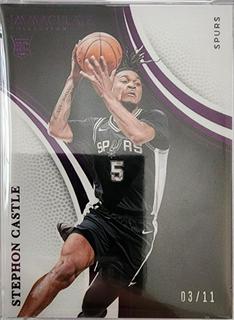 Stephon Castle