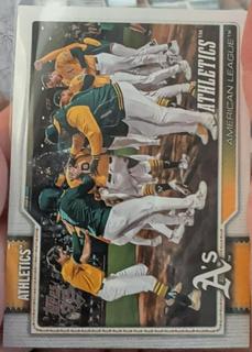 Team Card
