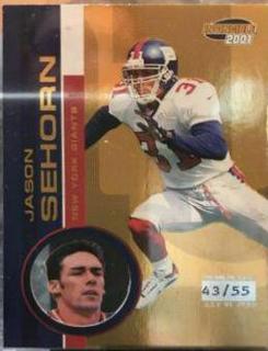 Jason Sehorn
