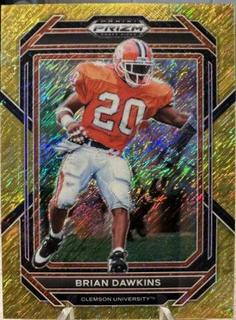 Brian Dawkins