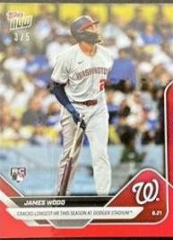 James Wood