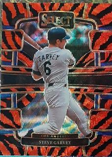 Steve Garvey