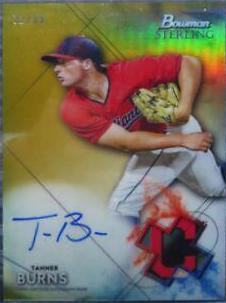 Tanner Burns