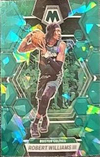 Robert Williams III