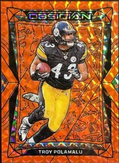 Troy Polamalu