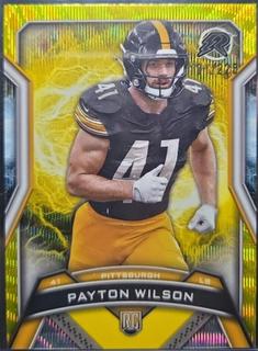 Payton Wilson
