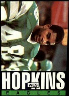 Wes Hopkins