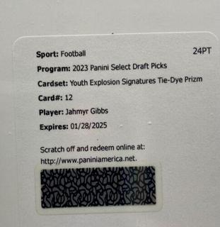 Jahmyr Gibbs