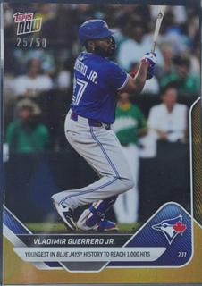 Vladimir Guerrero Jr.