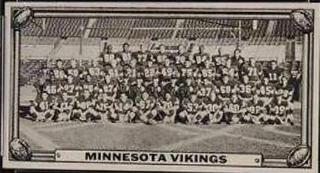 Minnesota Vikings