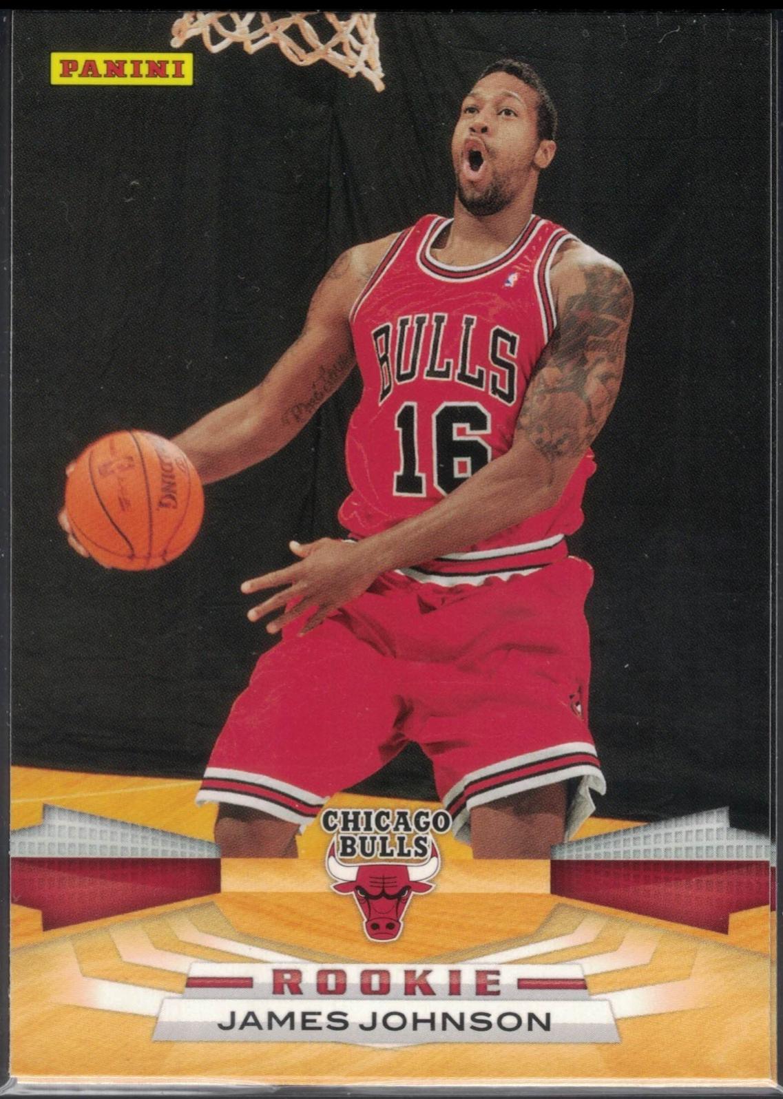 James Johnson #366 2009-10 Panini Basketball