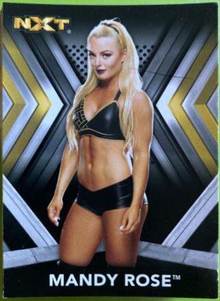Mandy Rose #17 Wrestling Cards 2017 Topps WWE NXT