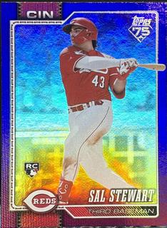 Sal Stewart