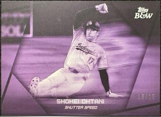 Shohei Ohtani