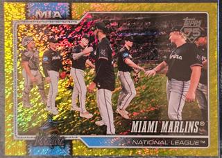 Team Card