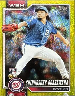 Shinnosuke Ogasawara