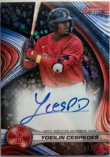 Yoeilin Cespedes
