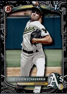 Steven Echavarria