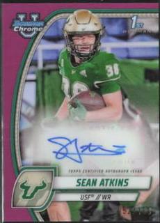 Sean Atkins