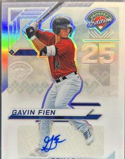 Gavin Fien