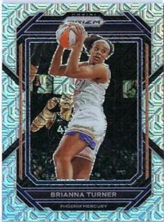 Brianna Turner