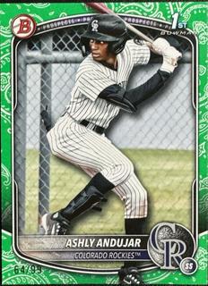Ashly Andujar