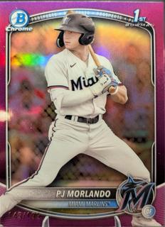 PJ Morlando