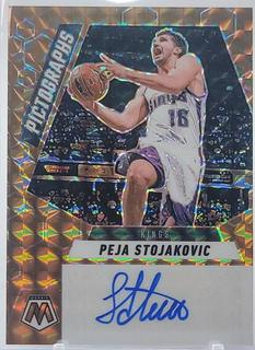 Peja Stojakovic