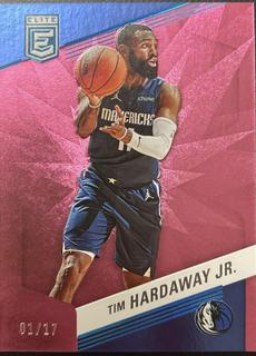 Tim Hardaway Jr.