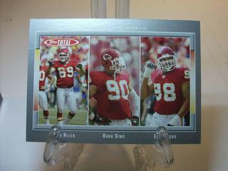 Jared Allen, Eric Hicks, Ryan Sims