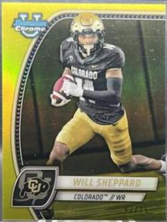 Will Sheppard