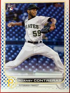 Roansy Contreras