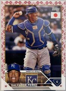 Salvador Perez