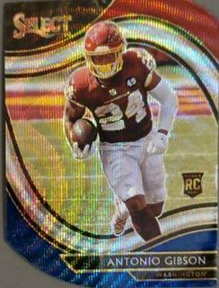 Antonio Gibson