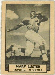 Marv Luster