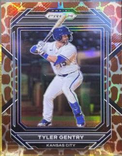 Tyler Gentry