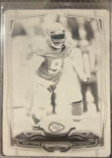 Tamba Hali