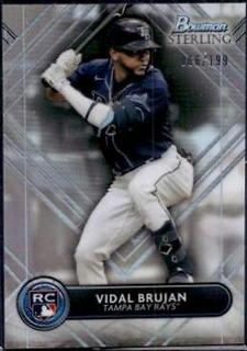 Vidal Brujan