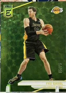 Pau Gasol