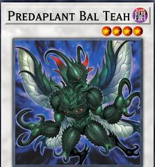 Predaplant Bal Teah BLZD-EN039