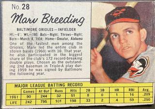 Marv Breeding