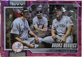 Bronx Buddies