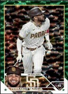 Fernando Tatis Jr.